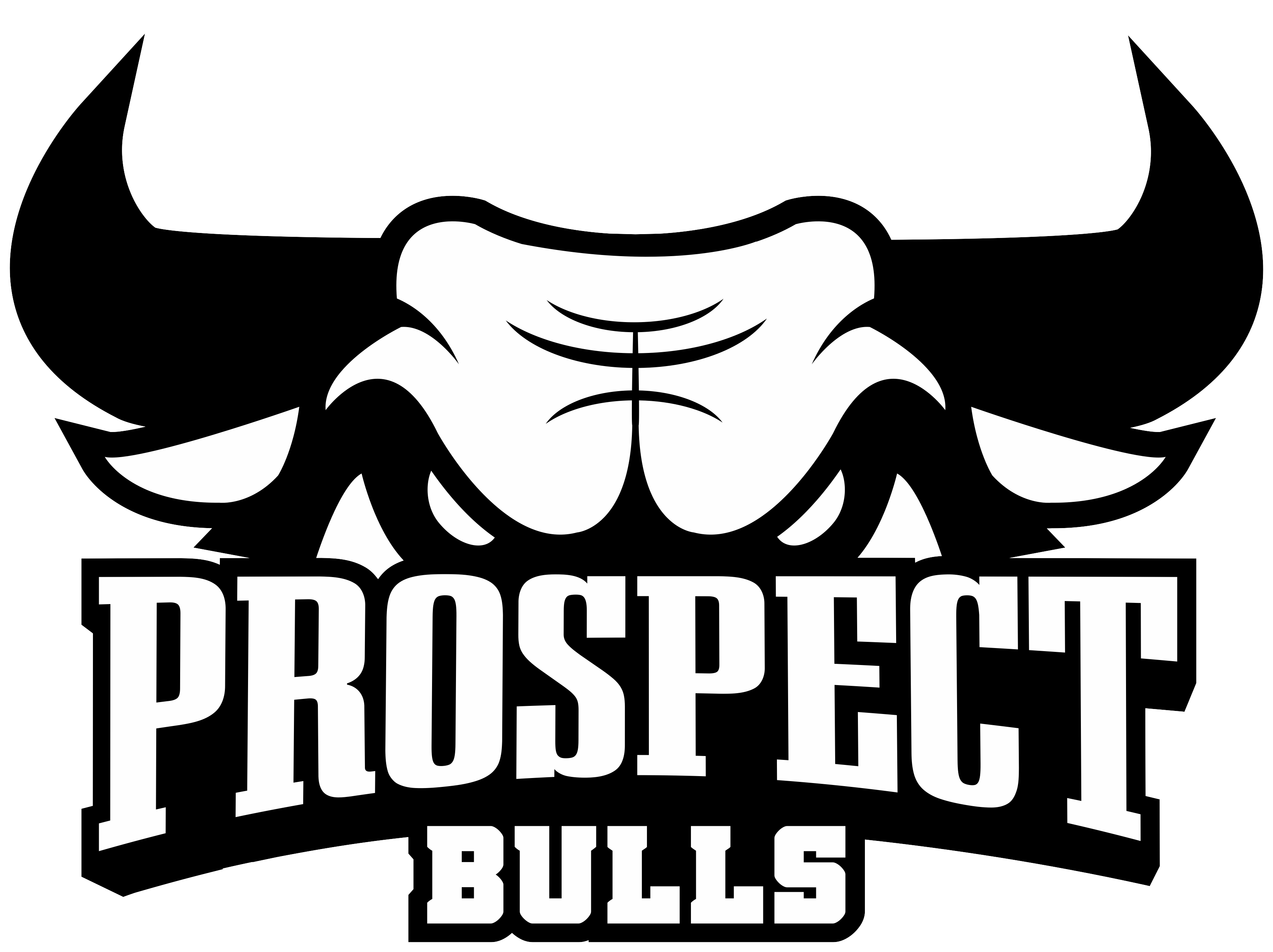 Prospect Bull's Basketball